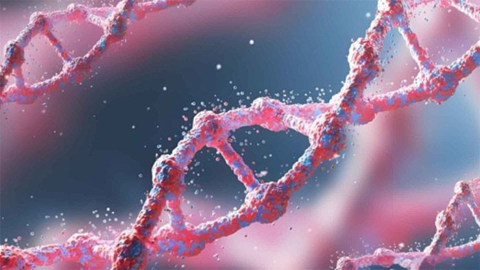 开封市亲子鉴定中心在哪里？